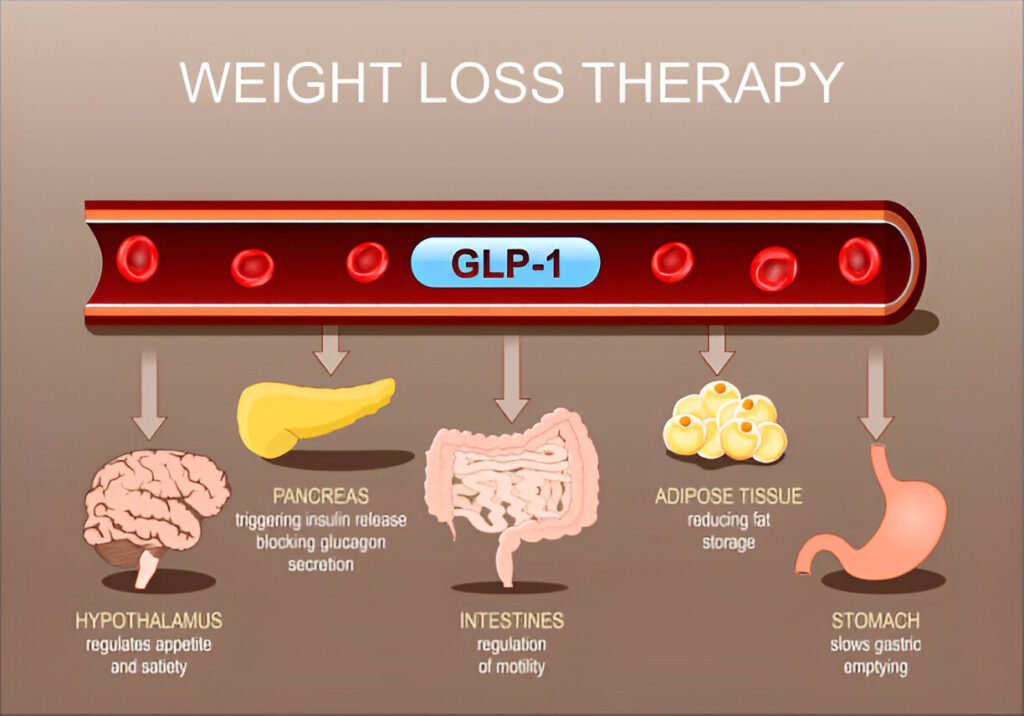 How Do GLP-1s Work