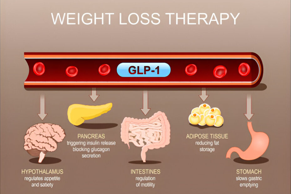 How Do GLP-1s Work